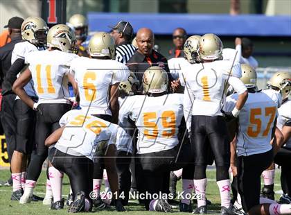 Thumbnail 1 in McAuliffe vs. Windward photogallery.
