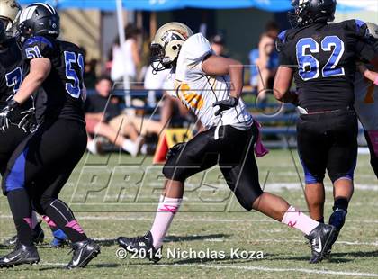 Thumbnail 1 in McAuliffe vs. Windward photogallery.