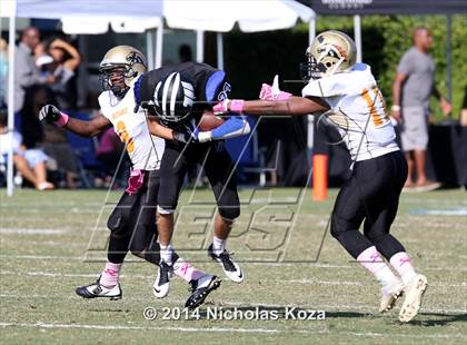 Thumbnail 2 in McAuliffe vs. Windward photogallery.