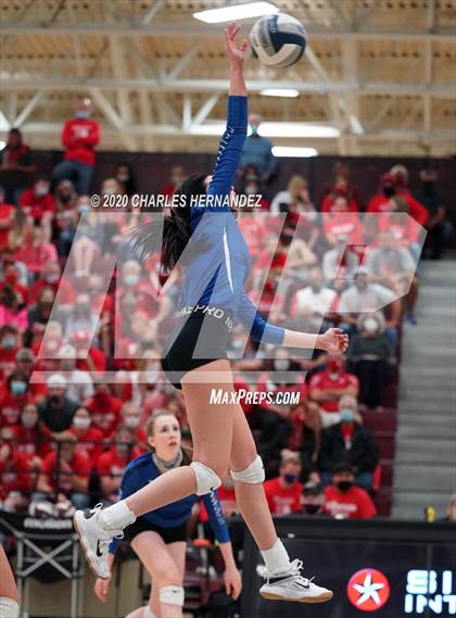 Thumbnail 2 in Bellville vs. Robinson (UIL 4A Regional Semifinals) photogallery.