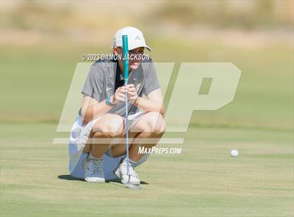 Thumbnail 3 in NIAA 3A Final (Palms Golf Course) photogallery.