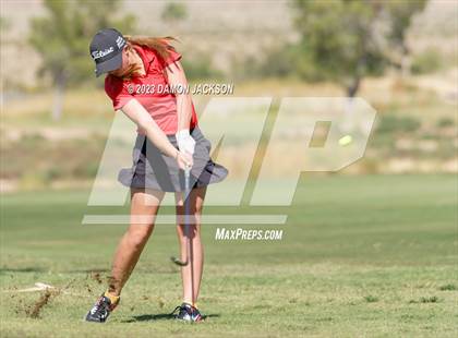 Thumbnail 2 in NIAA 3A Final (Palms Golf Course) photogallery.