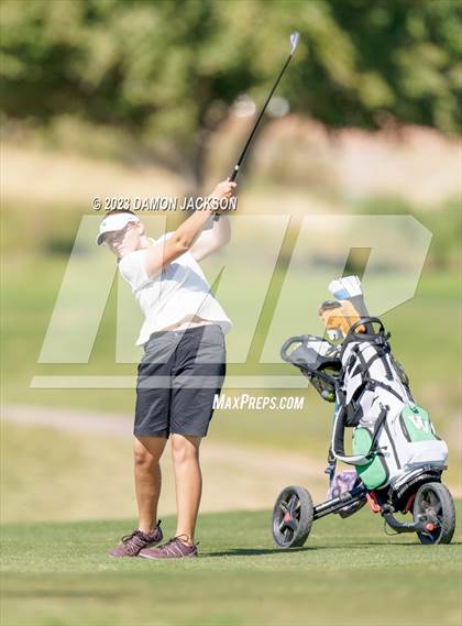 Thumbnail 3 in NIAA 3A Final (Palms Golf Course) photogallery.