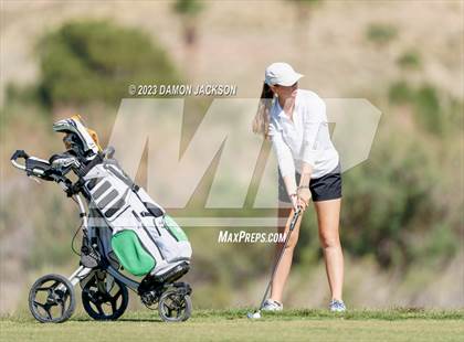 Thumbnail 1 in NIAA 3A Final (Palms Golf Course) photogallery.