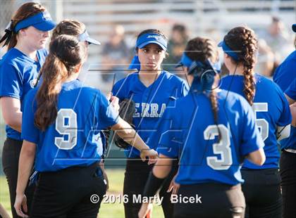 Thumbnail 1 in Sierra @ Enochs photogallery.