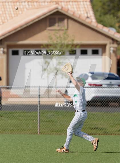 Thumbnail 3 in Pahrump Valley @ Virgin Valley photogallery.