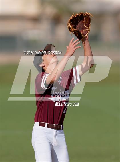 Thumbnail 3 in Pahrump Valley @ Virgin Valley photogallery.