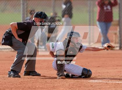 Thumbnail 3 in Pahrump Valley @ Virgin Valley photogallery.
