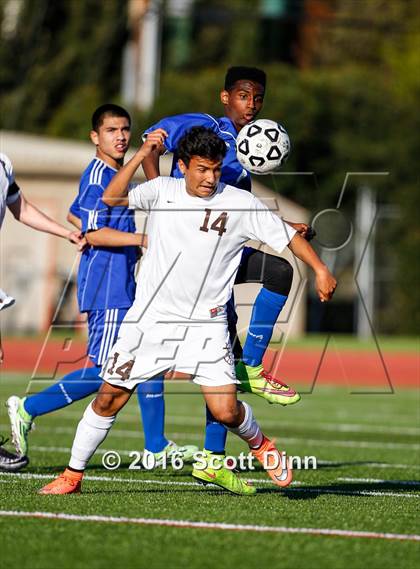 Thumbnail 1 in Santa Teresa @ Saint Francis (CIF CCS D1 Quarterfinal) photogallery.