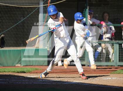 Thumbnail 3 in Panguitch vs. Piute (UHSAA 1A Final) photogallery.