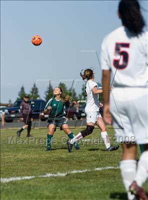 Thumbnail 2 in Davis @ Beyer photogallery.