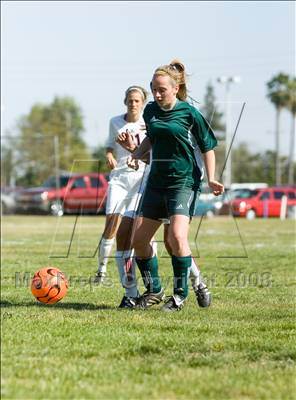 Thumbnail 3 in Davis @ Beyer photogallery.