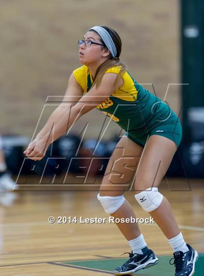 Thumbnail 1 in Warren @ Holmes photogallery.