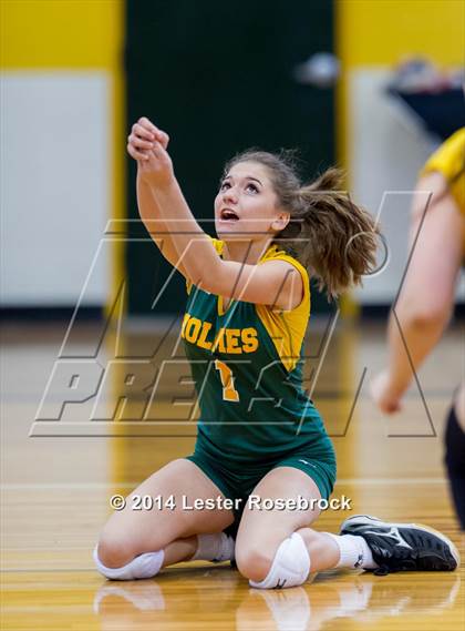 Thumbnail 2 in Warren @ Holmes photogallery.