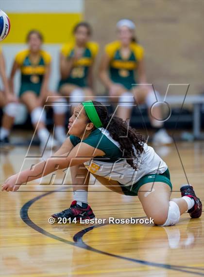 Thumbnail 3 in Warren @ Holmes photogallery.