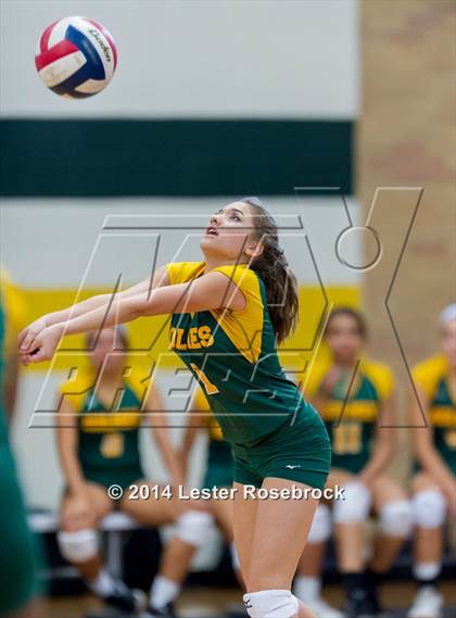 Thumbnail 1 in Warren @ Holmes photogallery.