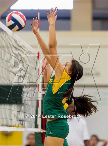 Thumbnail 3 in Warren @ Holmes photogallery.