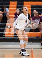 Photo from the gallery "Braden River @ Sarasota"