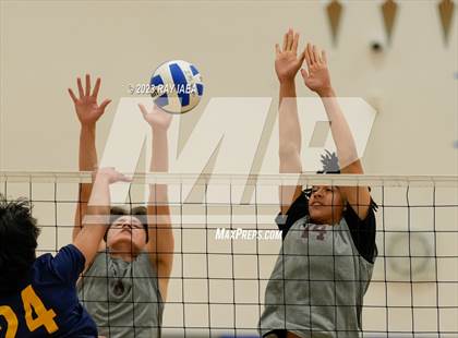 Thumbnail 1 in Whitney @ Inderkum photogallery.