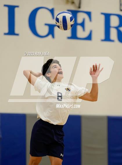 Thumbnail 1 in Whitney @ Inderkum photogallery.