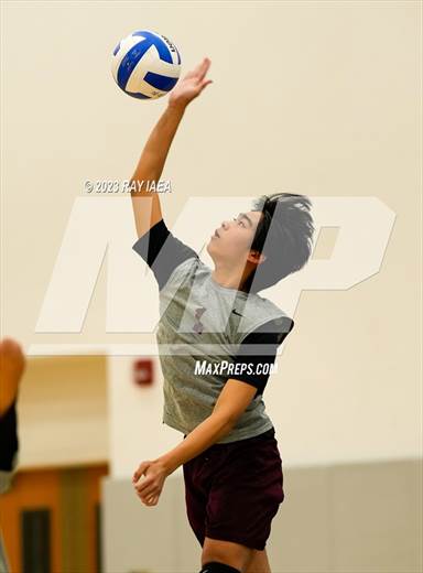 null - Photo 01