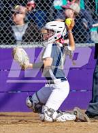 Photo from the gallery "River City @ Franklin"