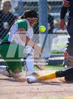 Photo from the gallery "Hilltop @ Mission Bay"