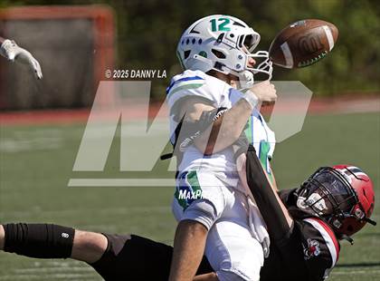 Thumbnail 3 in South Lakes @ Herndon photogallery.