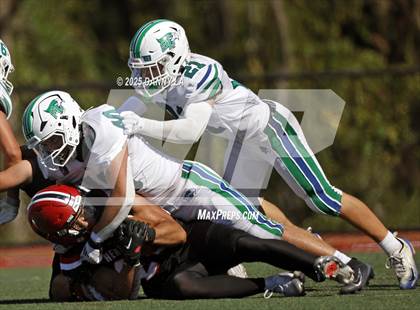 Thumbnail 3 in South Lakes @ Herndon photogallery.