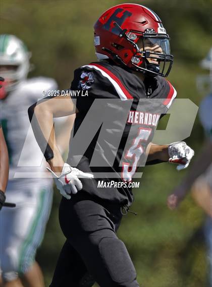 Thumbnail 3 in South Lakes @ Herndon photogallery.