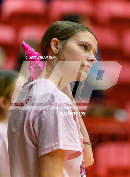 Thumbnail 1 in JV: Bergman @ Lead Hill photogallery.