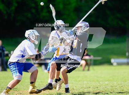 Thumbnail 1 in Warwick @ Washingtonville photogallery.