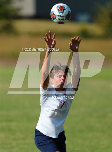 null - Photo 31
