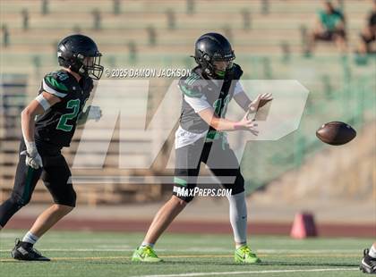 Thumbnail 3 in JV: Boulder City @ Virgin Valley photogallery.