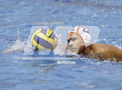 Thumbnail 3 in Brandeis vs. Marshall photogallery.