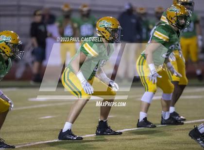 Thumbnail 1 in Rochester @ Tumwater photogallery.