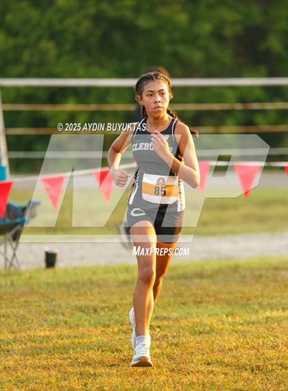 Thumbnail 2 in Lovejoy XC Fall Festival 2025 Girls Elite Varsity photogallery.