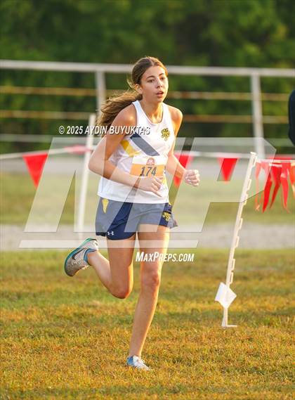 Thumbnail 3 in Lovejoy XC Fall Festival 2025 Girls Elite Varsity photogallery.