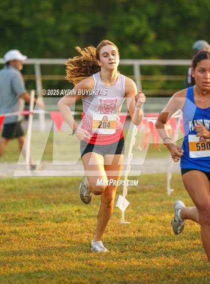 Thumbnail 3 in Lovejoy XC Fall Festival 2025 Girls Elite Varsity photogallery.