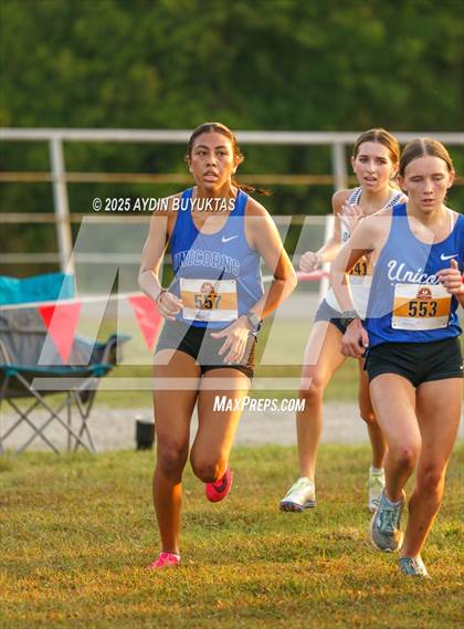 Thumbnail 1 in Lovejoy XC Fall Festival 2025 Girls Elite Varsity photogallery.