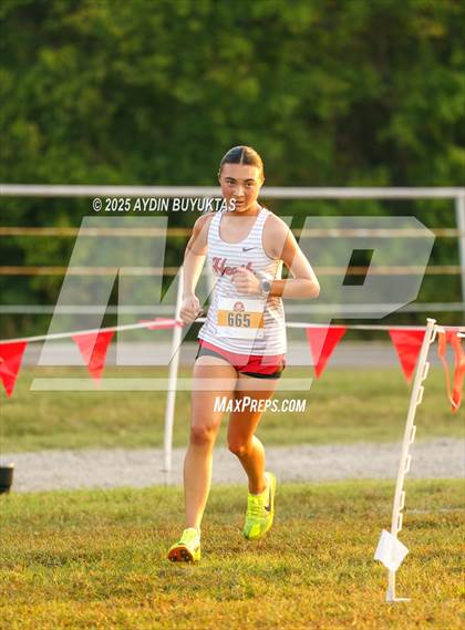 Thumbnail 1 in Lovejoy XC Fall Festival 2025 Girls Elite Varsity photogallery.