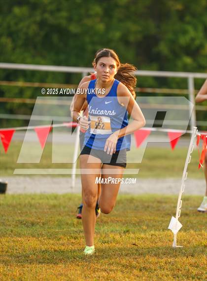 Thumbnail 1 in Lovejoy XC Fall Festival 2025 Girls Elite Varsity photogallery.