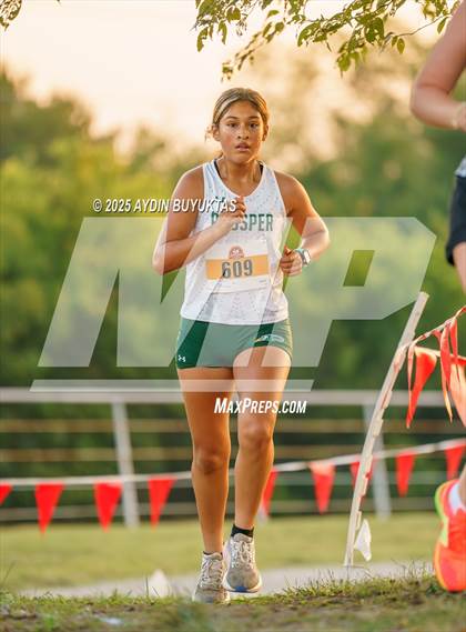 Thumbnail 2 in Lovejoy XC Fall Festival 2025 Girls Elite Varsity photogallery.