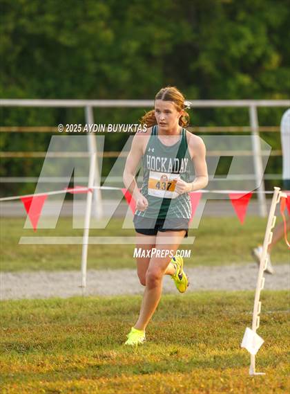 Thumbnail 2 in Lovejoy XC Fall Festival 2025 Girls Elite Varsity photogallery.