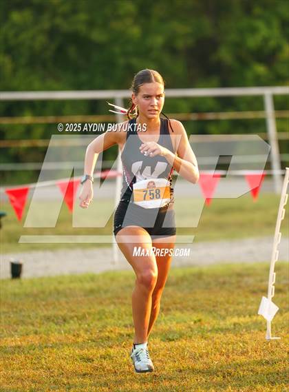 Thumbnail 2 in Lovejoy XC Fall Festival 2025 Girls Elite Varsity photogallery.