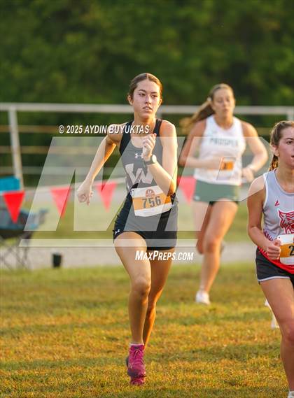 Thumbnail 1 in Lovejoy XC Fall Festival 2025 Girls Elite Varsity photogallery.