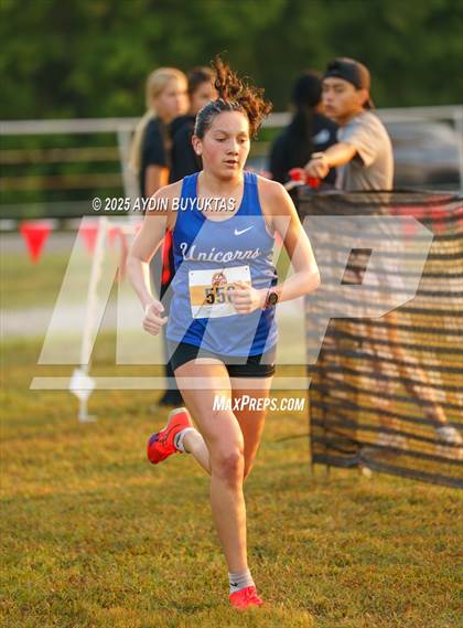 Thumbnail 2 in Lovejoy XC Fall Festival 2025 Girls Elite Varsity photogallery.