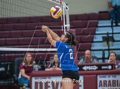 Thumbnail 2 in D'Hanis vs. Lanier (Arabian Round-up) photogallery.