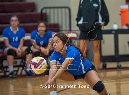 Thumbnail 2 in D'Hanis vs. Lanier (Arabian Round-up) photogallery.