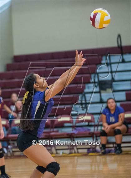 Thumbnail 1 in D'Hanis vs. Lanier (Arabian Round-up) photogallery.